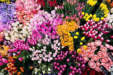 国产游戏《三伏》首周优惠价40.5元 Switch版评估中